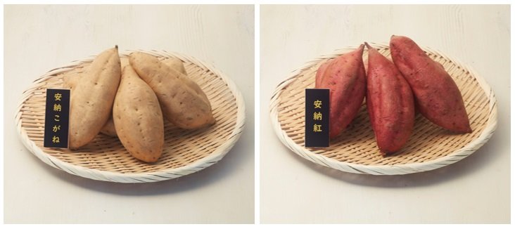 Tanegashima Annou Imo / 种子岛安纳芋