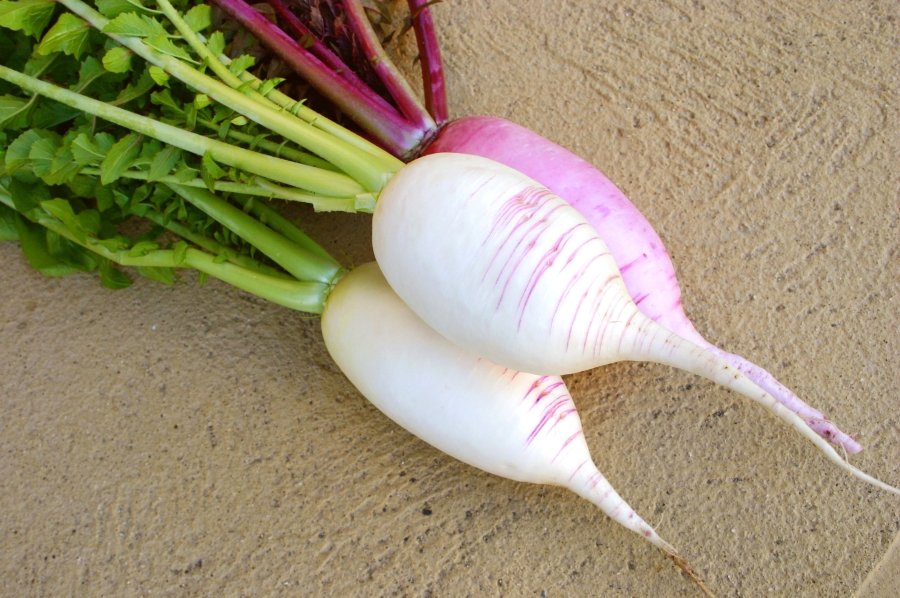 Mera Itomaki Daikon