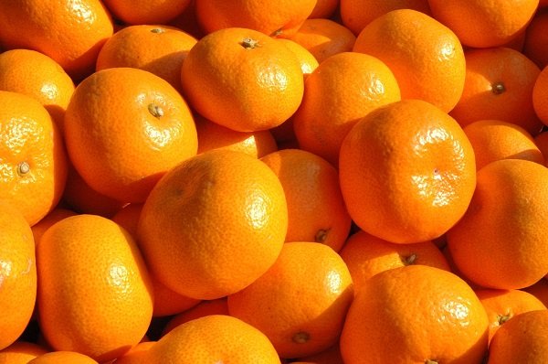 จูทาโร่ ส้มจากนิชิอุระ