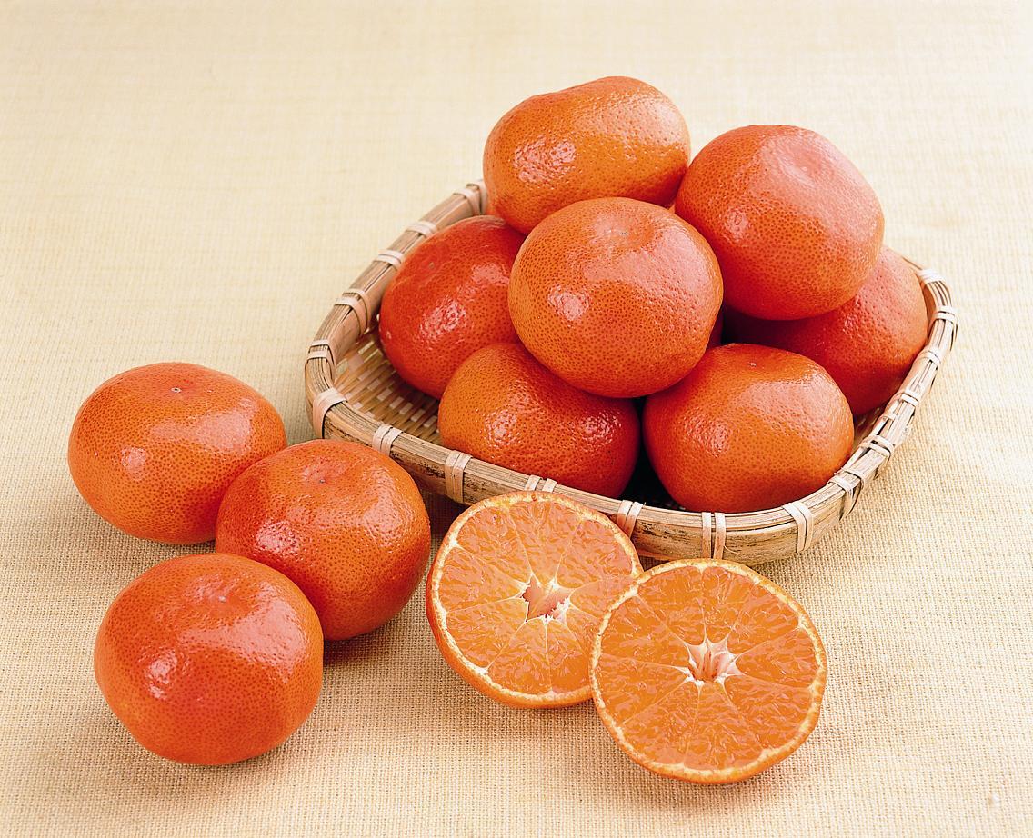 ส้มคางาวะโอบาระเบนิวาเซะ
